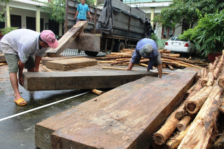 Bị kiểm tra, tài xế chở gỗ lậu bỏ xe tháo chạy - Ảnh 1.