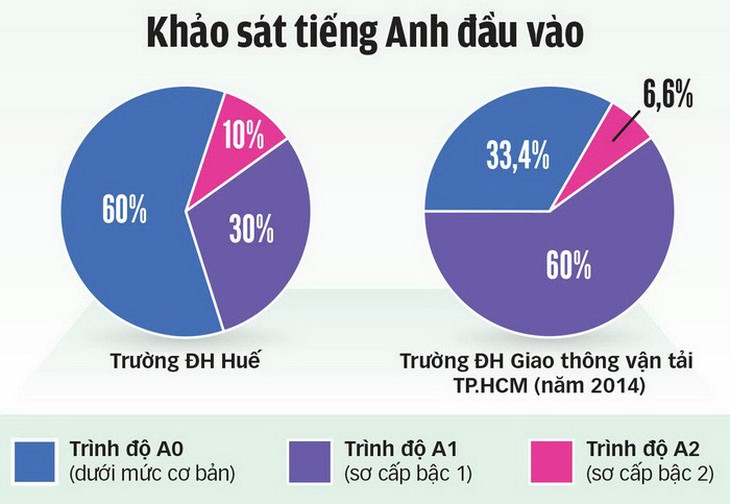 Sinh viên không đạt chuẩn B1 ngoại ngữ, tính sao đây? - Ảnh 2.