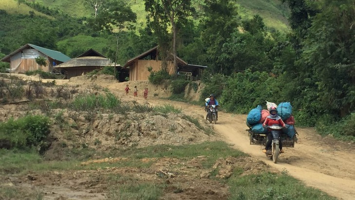 Di dân tự do ở Tây Nguyên - Kỳ cuối: Đất lành chim... ở lại - Ảnh 1.