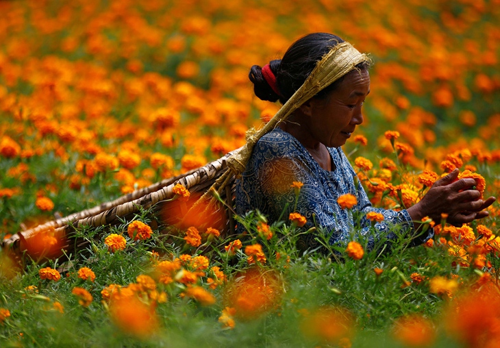 Thế giới trong tuần qua ảnh: hỏa hoạn ở nhiều nơi - Ảnh 13. Thế giới trong tuần qua ảnh: hỏa hoạn ở nhiều nơi - Ảnh 13.