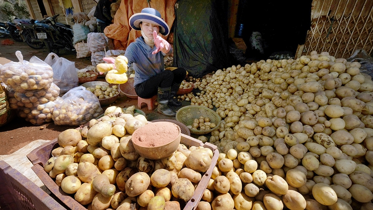 Thâm nhập “xưởng” làm giả khoai tây Trung Quốc thành Đà Lạt - Ảnh 2.