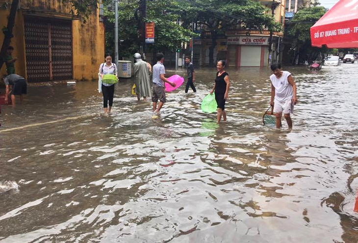 Nam Định mênh mông nước, dân bắt cá trên phố - Ảnh 3.