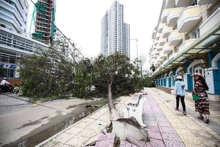 Nha Trang lấy lại nhịp sống thường ngày sau bão - Ảnh 4.