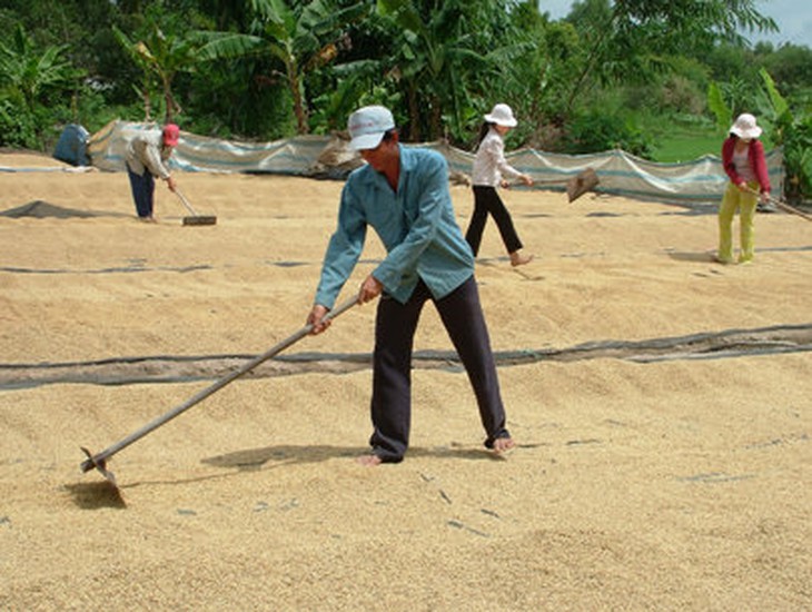 Phải hành động để đưa ĐBSCL trở lại trù phú - Ảnh 1.