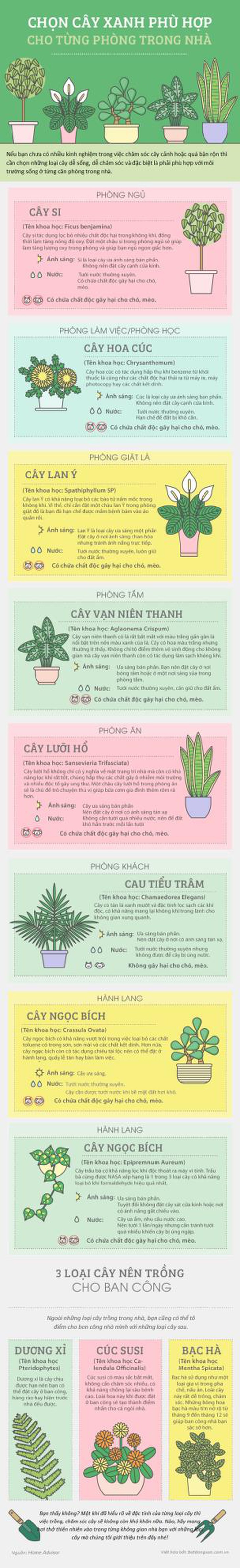Chọn cây xanh phù hợp cho từng phòng trong nhà - Ảnh 1. Chọn cây xanh phù hợp cho từng phòng trong nhà - Ảnh 1.