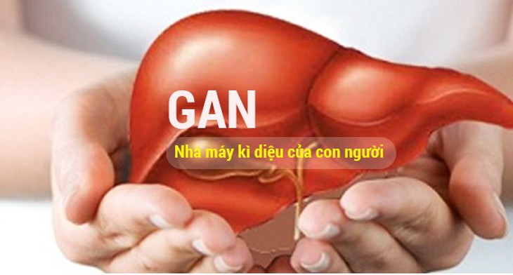 Bảo vệ gan trước những ‘kẻ thù thầm lặng’ mỗi ngày - Ảnh 1.