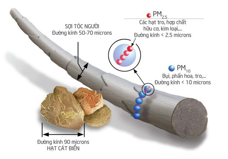 Cơ hội miễn phí trải nghiệm cách rửa mũi mới từ Nhật - Ảnh 2.