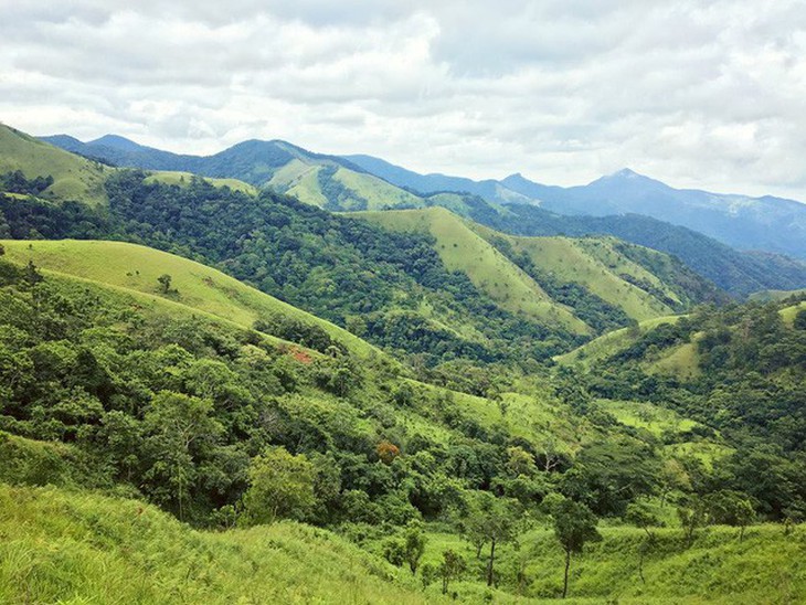 Vì sao bạn thích đi trekking Tà Năng - Phan Dũng? - Ảnh 1.