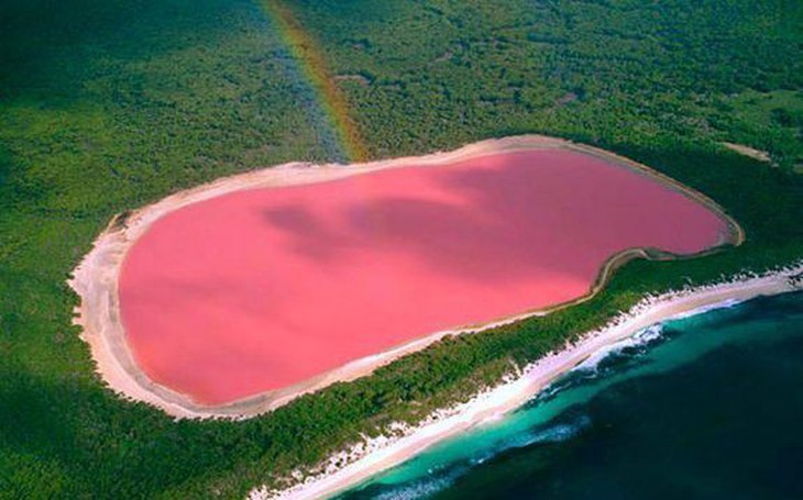 Anh vừa nóng kỷ lục đầu năm, vừa có tuyết và 'mưa máu' - Ảnh 2.