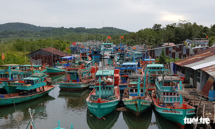 Tàu cá tránh bão Tembin ken đặc Phú Quốc - Ảnh 7.