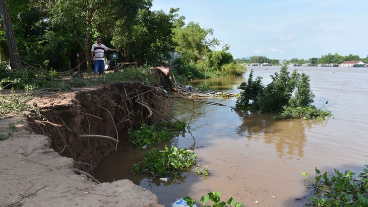 Sông Hậu đã ăn vào bờ 10m, kéo dài 100m - Ảnh 1. Sông Hậu đã ăn vào bờ 10m, kéo dài 100m - Ảnh 1.