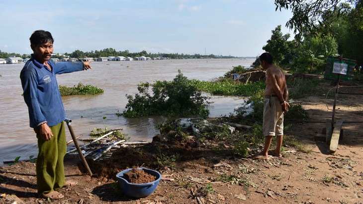 Sông Hậu đã ăn vào bờ 10m, kéo dài 100m - Ảnh 3. Sông Hậu đã ăn vào bờ 10m, kéo dài 100m - Ảnh 3.