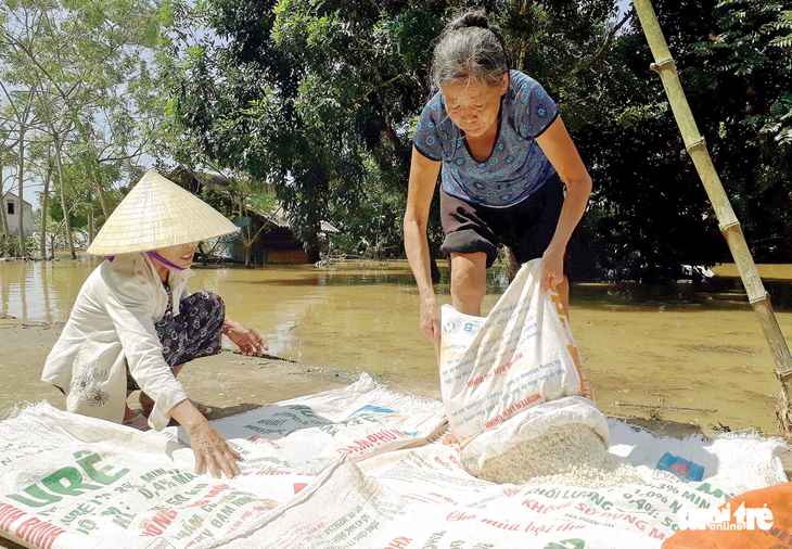 Hết lũ dồn, lại lo bão dập - Ảnh 3.