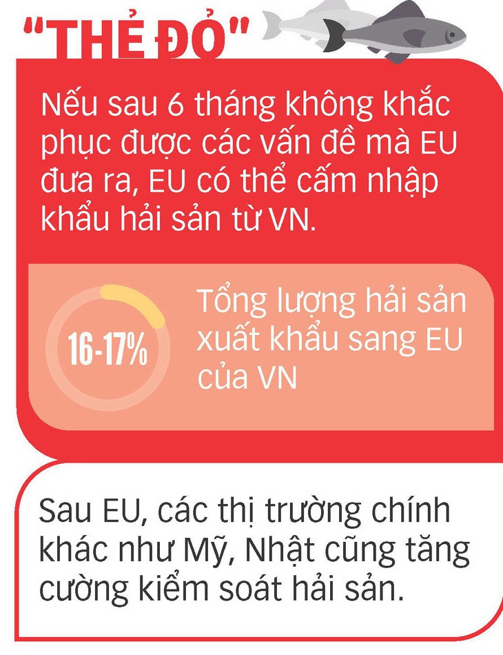 Ngư dân bỏ tiền mua biển và án phạt thẻ vàng từ EU - Ảnh 3.