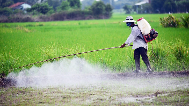 Mất kiểm soát thuốc trừ sâu - Ảnh 4.