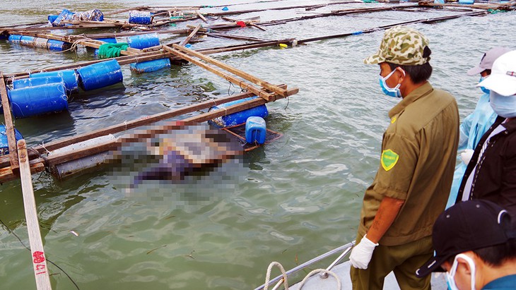 Xót xa hành trình tìm kiếm thi thể nạn nhân trên vịnh Vân Phong - Ảnh 8. Xót xa hành trình tìm kiếm thi thể nạn nhân trên vịnh Vân Phong - Ảnh 8.