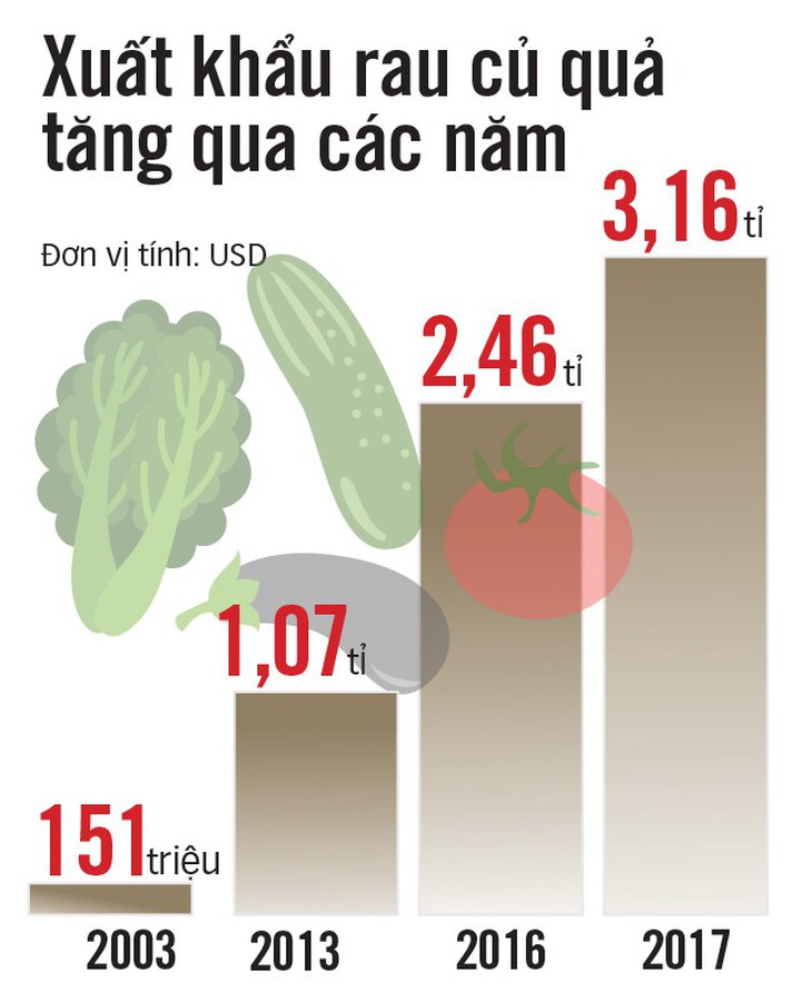 Logistics - bệ phóng cho ngành rau củ quả - Ảnh 3.