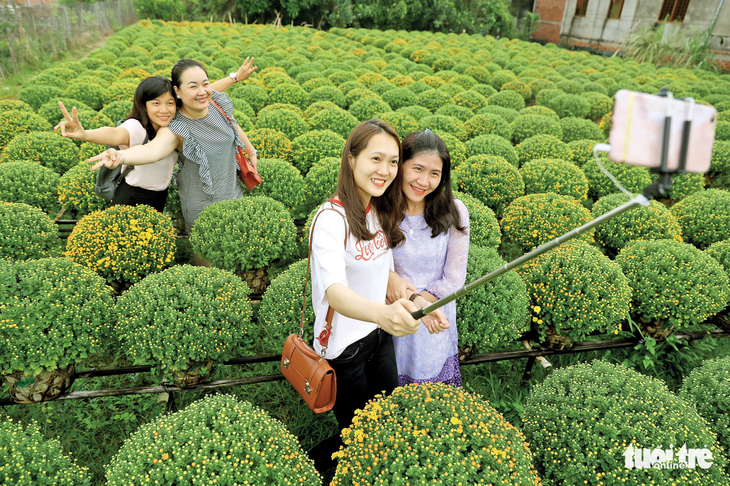 Chú chó tắc kiểng Chợ Lách chào Xuân Mậu Tuất - Ảnh 4.