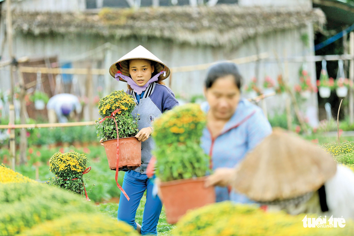 Chú chó tắc kiểng Chợ Lách chào Xuân Mậu Tuất - Ảnh 2.