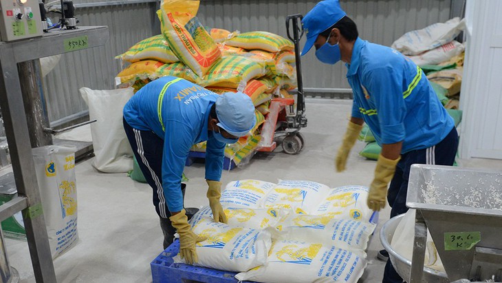 Tái xuất lúa mì có cỏ kế đồng: Bộ quyết tâm, doanh nghiệp muốn đối thoại - Ảnh 1. Tái xuất lúa mì có cỏ kế đồng: Bộ quyết tâm, doanh nghiệp muốn đối thoại - Ảnh 1.