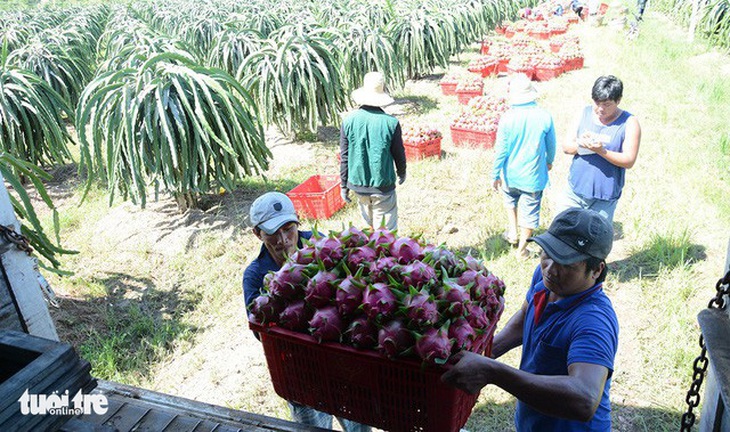 Sẽ không còn cuộc đua tới đáy trong thương mại và đầu tư - Ảnh 1.