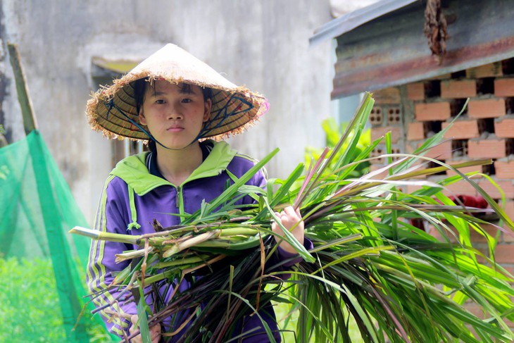 Bước qua gian khó vào đại học - Ảnh 1. Bước qua gian khó vào đại học - Ảnh 1.