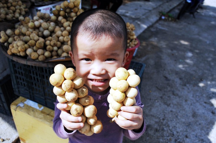 Về Tiên Phước ăn trái bòn bon - Ảnh 16.