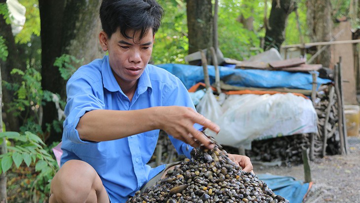 Sắp cuối lũ 2018, giá cả đặc sản lũ miền Tây càng chộn rộn - Ảnh 9.