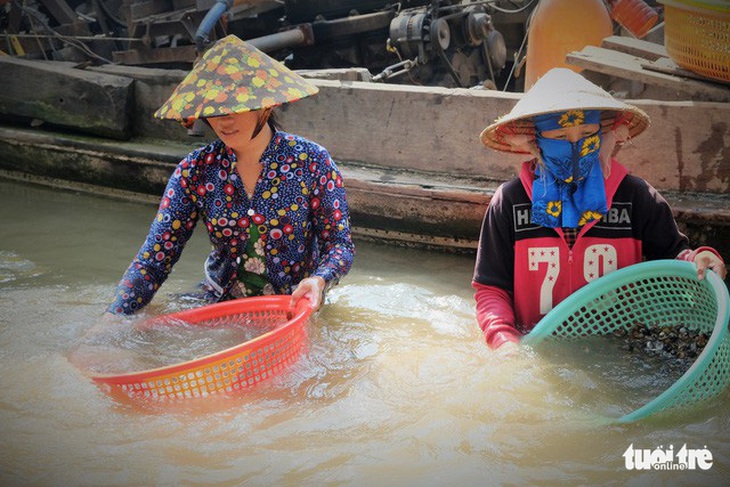 Về miền Tây mùa nước lũ: Sản vật Đồng Tháp Mười - Ảnh 3.