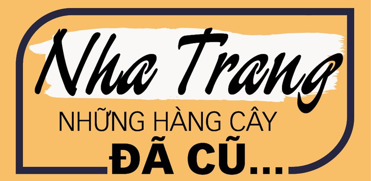 Nha Trang - Những hàng cây đã cũ - Ảnh 2. Nha Trang - Những hàng cây đã cũ - Ảnh 2.