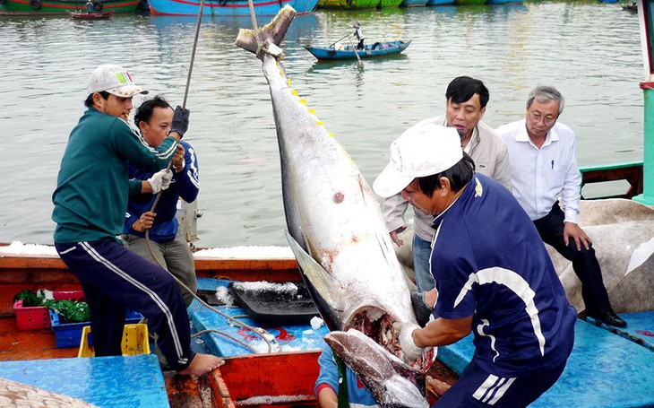 Thủy sản thiệt hại lớn từ 