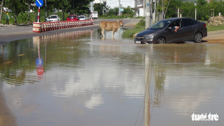 Đường ven biển Nha Trang mới sửa 3 tháng đã... nát - Ảnh 5.