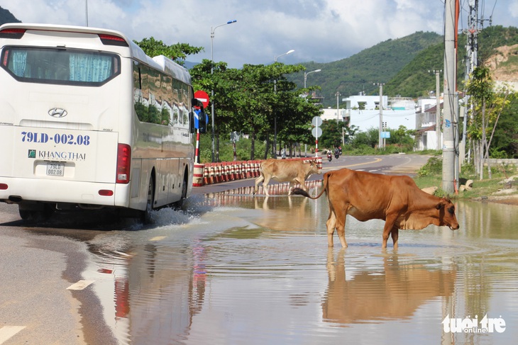 Đường ven biển Nha Trang mới sửa 3 tháng đã... nát - Ảnh 7.