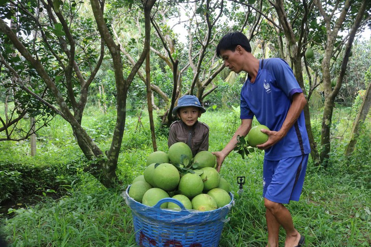 Trao hỗ trợ vốn cho mô hình “Cùng xây dựng cuộc sống xanh” - Ảnh 1.