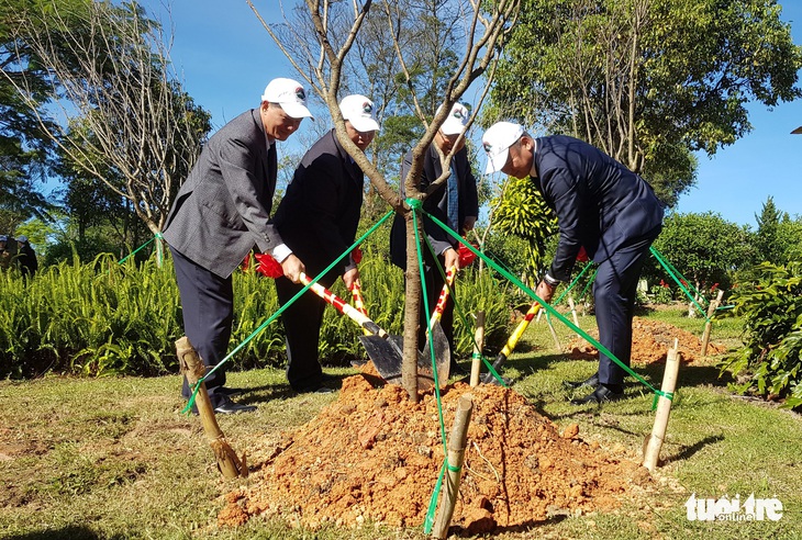 Sau thử nghiệm, Đà Lạt trồng đồi hoa anh đào Nhật Bản - Ảnh 2.