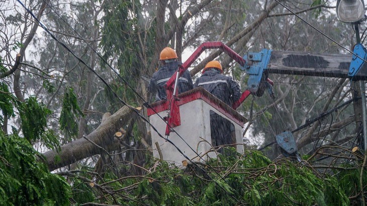 TP.HCM ngập diện rộng, cây ngã đè chết người đi đường - Ảnh 8.