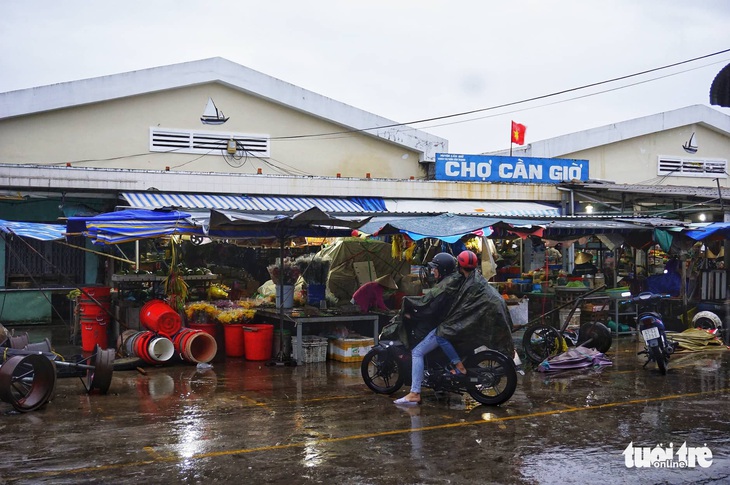 Vũng Tàu bắt đầu mưa to, cây gãy đổ - Ảnh 3.