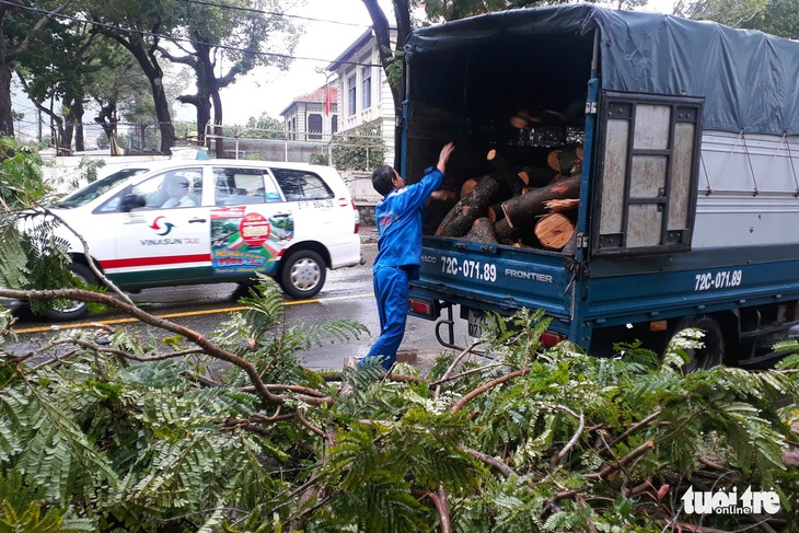 Vũng Tàu trở lại cuộc sống bình thường sau bão - Ảnh 1.