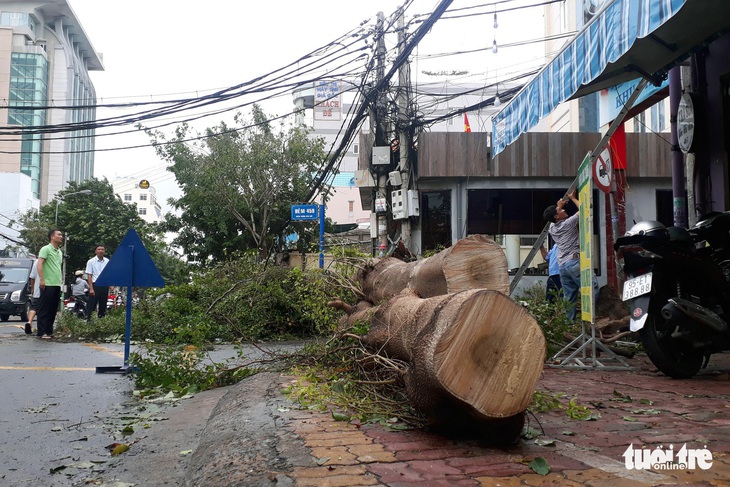 Vũng Tàu trở lại cuộc sống bình thường sau bão - Ảnh 4.