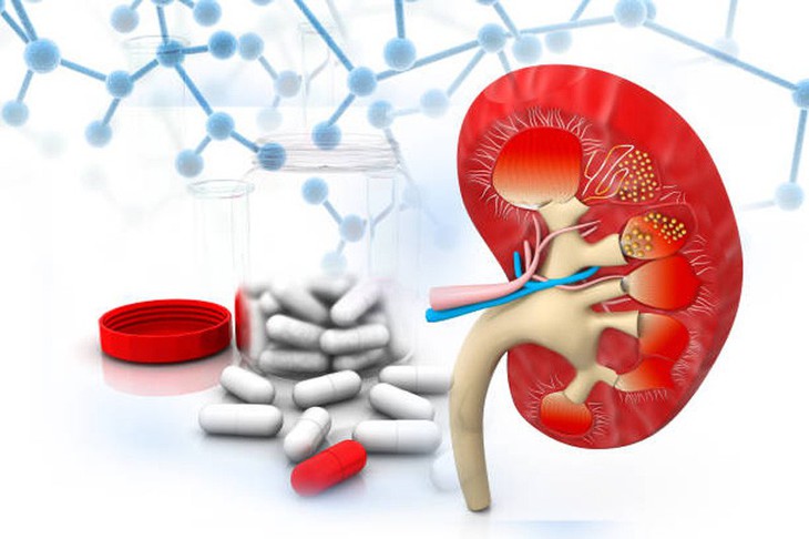 Những tác nhân gây hại cho thận - Ảnh 1.