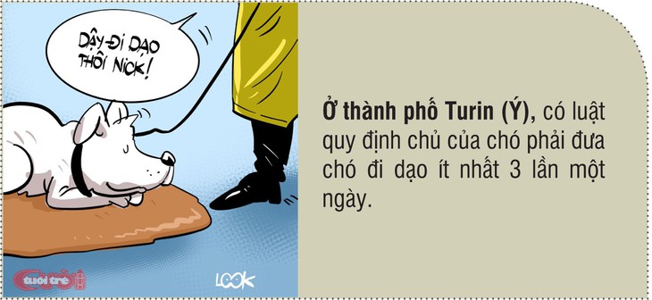 8 điều luật kỳ khôi vòng quanh thế giới - Ảnh 8. 8 điều luật kỳ khôi vòng quanh thế giới - Ảnh 8.