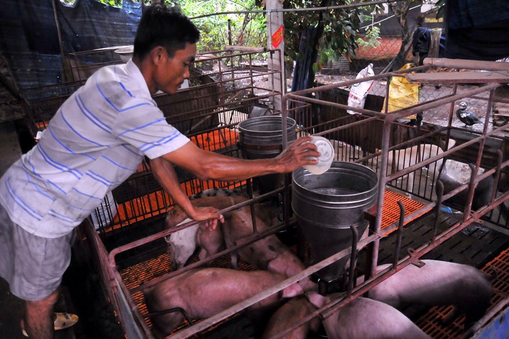 Đồng Nai chi 17,3 tỉ đồng ứng phó bệnh dịch tả heo châu Phi - Ảnh 1. Đồng Nai chi 17,3 tỉ đồng ứng phó bệnh dịch tả heo châu Phi - Ảnh 1.