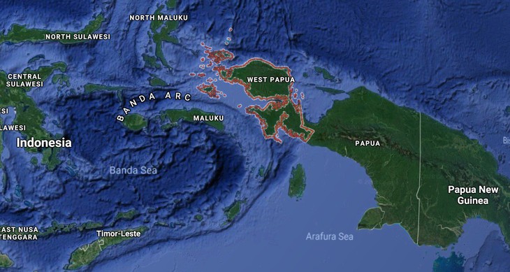 Tới Tây Papua xem bộ lạc Kombai làm nhà cao chót vót - Ảnh 2.