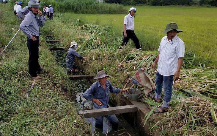 Bình Định kiểm tra vụ bêtông… 'cốt cây'