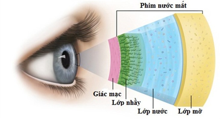 Khô mắt - nguyên nhân và điều trị - Ảnh 1.