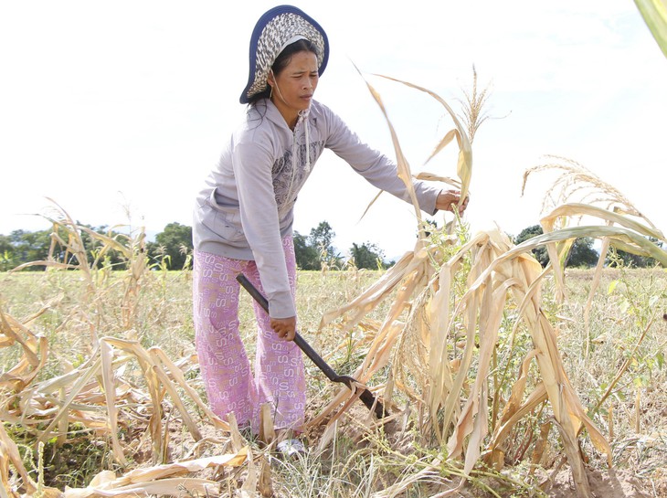 Ninh Thuận mưa ít, các hồ chứa tiếp tục trơ đáy - Ảnh 4.