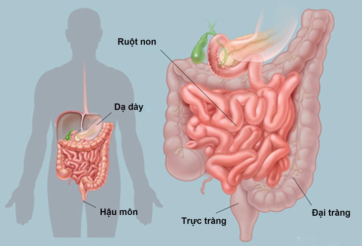 12 nguyên nhân gây đau bụng - Ảnh 1.