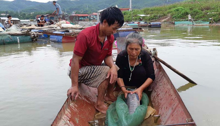 Sắp công bố thương hiệu “Tôm và Cá sông Đà Hòa Bình” - Ảnh 1.