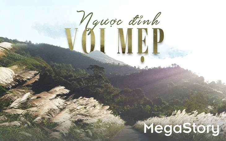 Sắp có tour ngắm đào chuông, rừng rêu ma mị trên nóc nhà Quảng Trị - Ảnh 10.