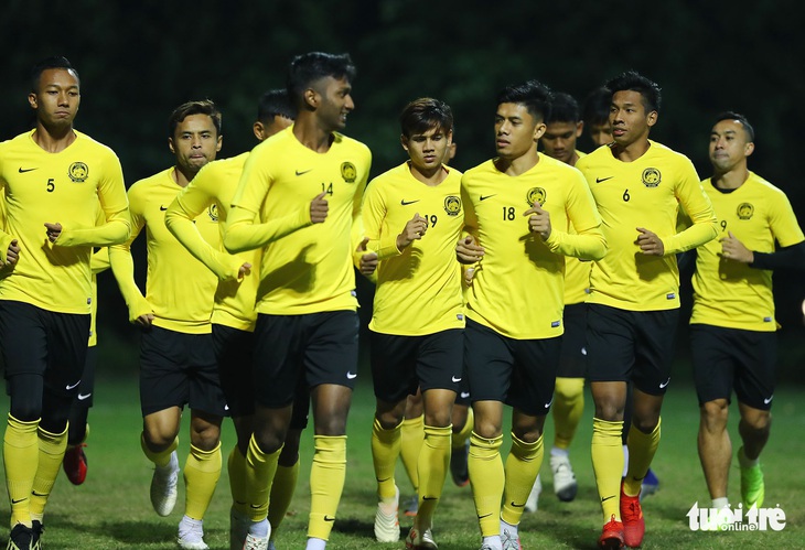 Các trụ cột xuất hiện ở Hà Nội, hổ Malaysia mọc thêm cánh - Ảnh 2. Các trụ cột xuất hiện ở Hà Nội, hổ Malaysia mọc thêm cánh - Ảnh 2.